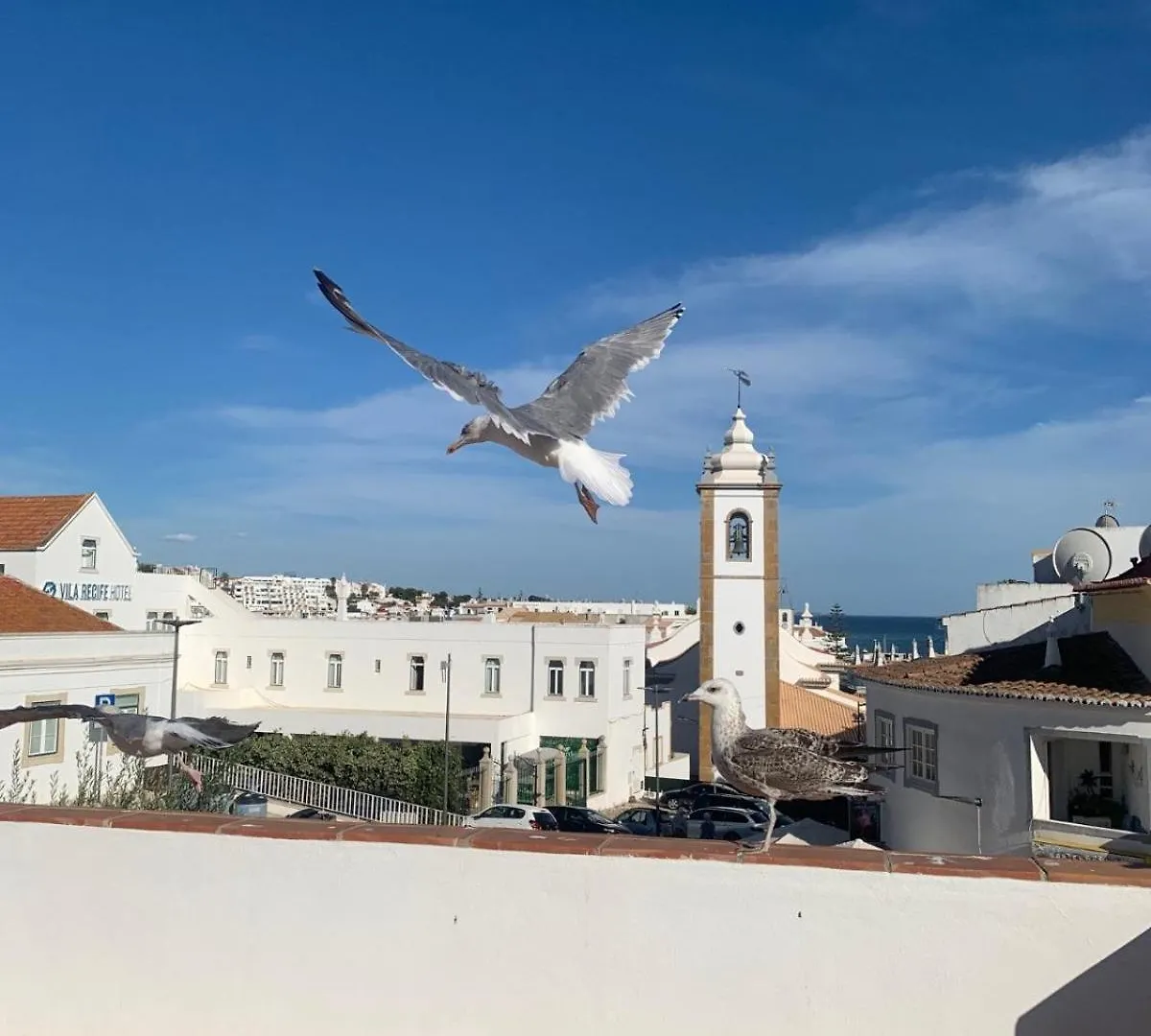 Apartment #083 Balcony With Ac, Garden View 5Min Beach Albufeira